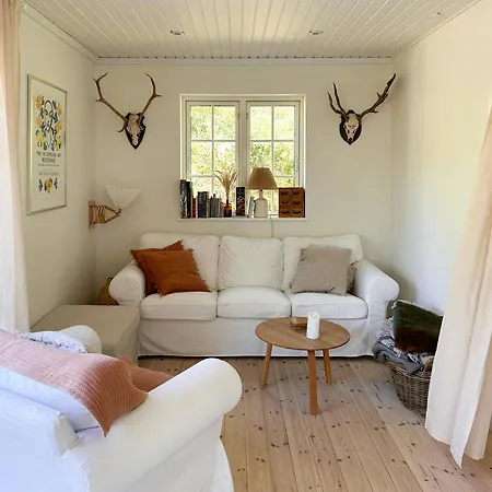 Wood With Fireplace And Nordic Design *