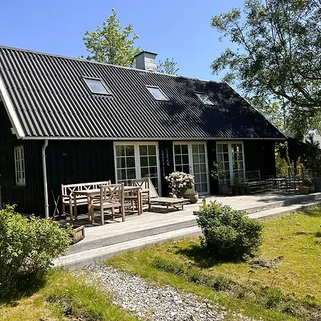 Wood With Fireplace And Nordic Design