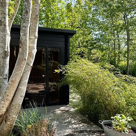 Wood With Fireplace And Nordic Design *